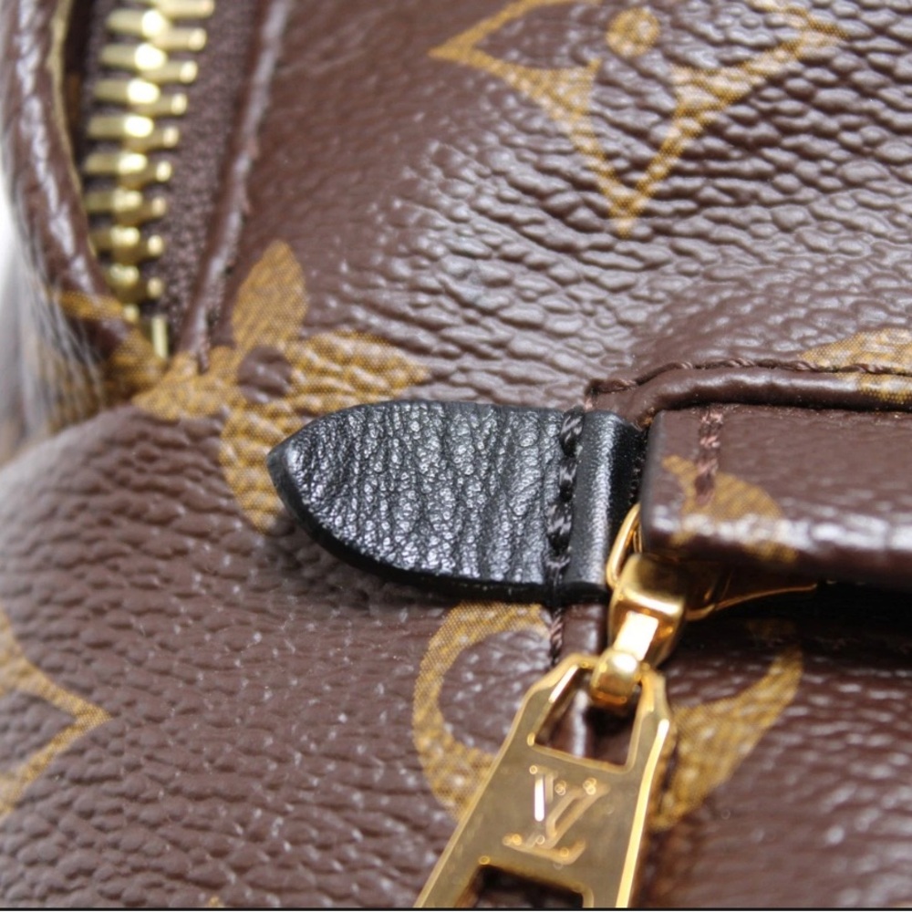AUTHENTIC Louis Vuitton Brown Monogram Backpack- Palm Springs- MM - Picture 13 of 16
